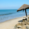 Beaches & Backwaters