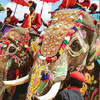 Fairs & Festivals
